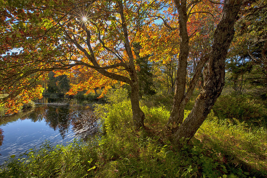 Autumn Sunburst Photograph by Irwin Barrett