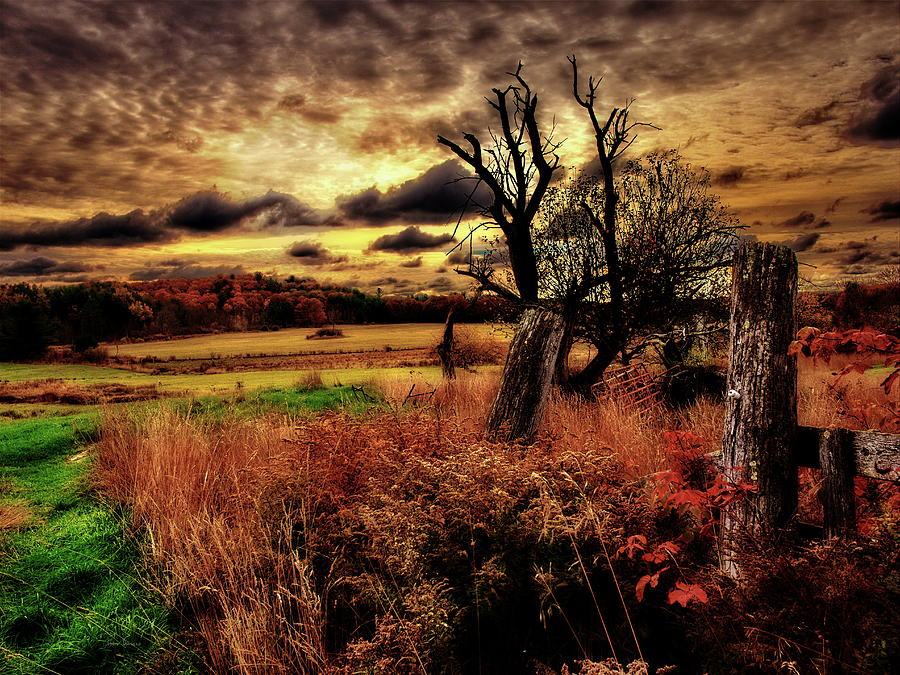 Autumn Sunlight Photograph by Bob Orsillo