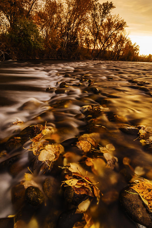 Boise Photograph - Autumn Sunrise along Boise River in Boise Idaho by Vishwanath Bhat
