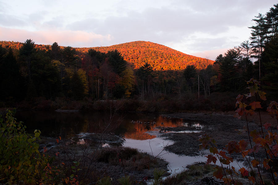 Autumn Sunrise at the Lake Photograph by Nancy De Flon
