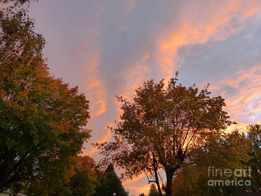 Autumn Sunset Photograph by Charles Robinson