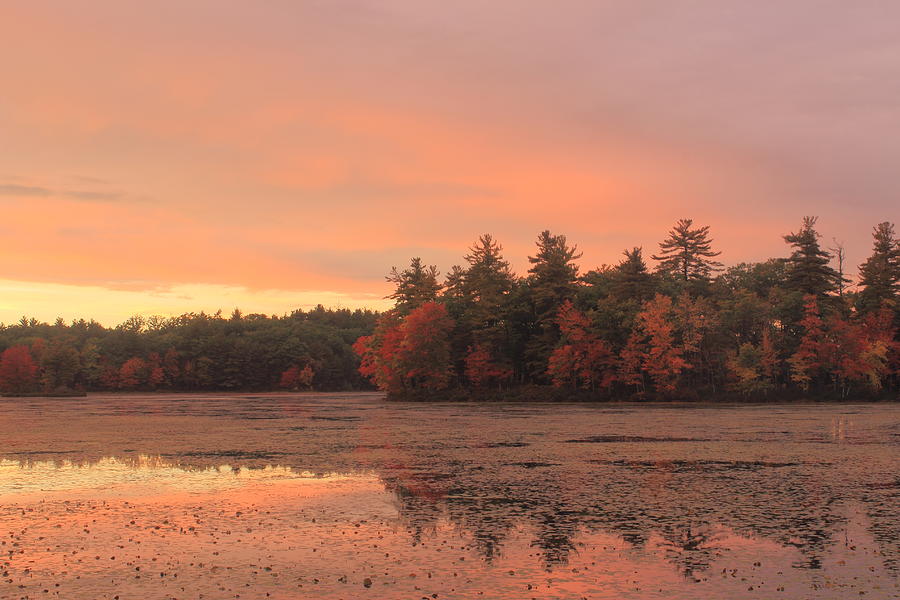 Autumn Sunset Photograph by John Burk