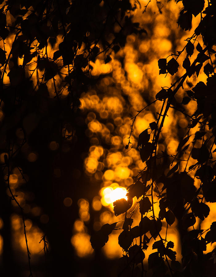 Autumn Sunset Photograph by Marcus Karlsson Sall