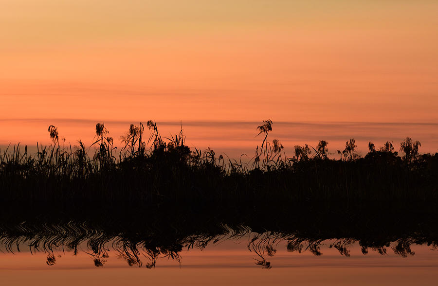Autumn Sunset on the Everglades Photograph by Carol Eade