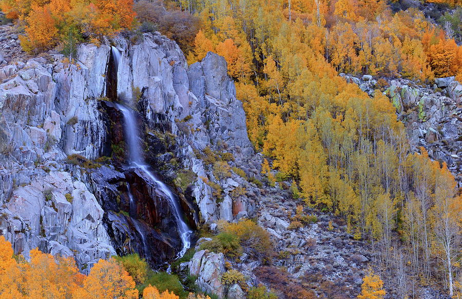 Autumn surrounds Mist Falls in the Eastern Sierras Photograph by Jetson Nguyen
