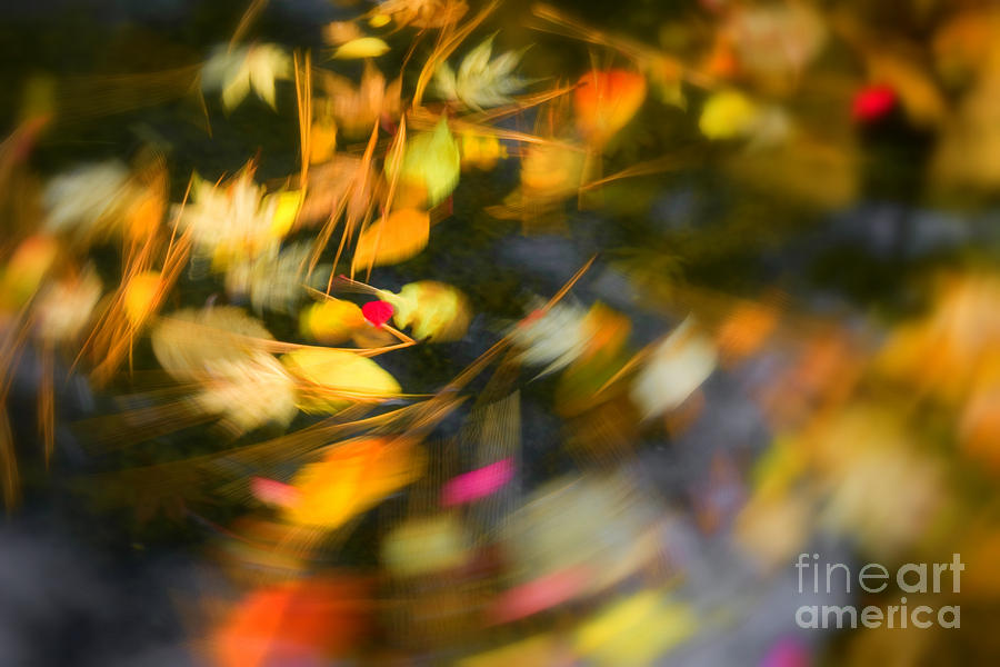 Autumn Swirl Photograph by Idaho Scenic Images Linda Lantzy