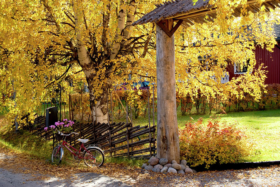 Rural Rustic Autumn Photograph
