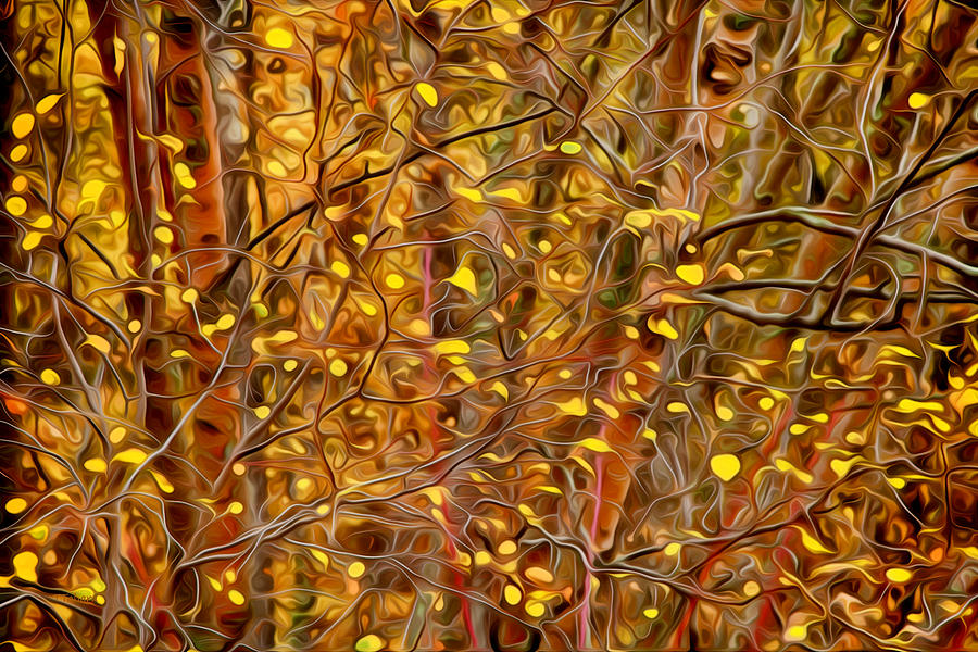 Autumn Tangle Photograph by Theresa Tahara
