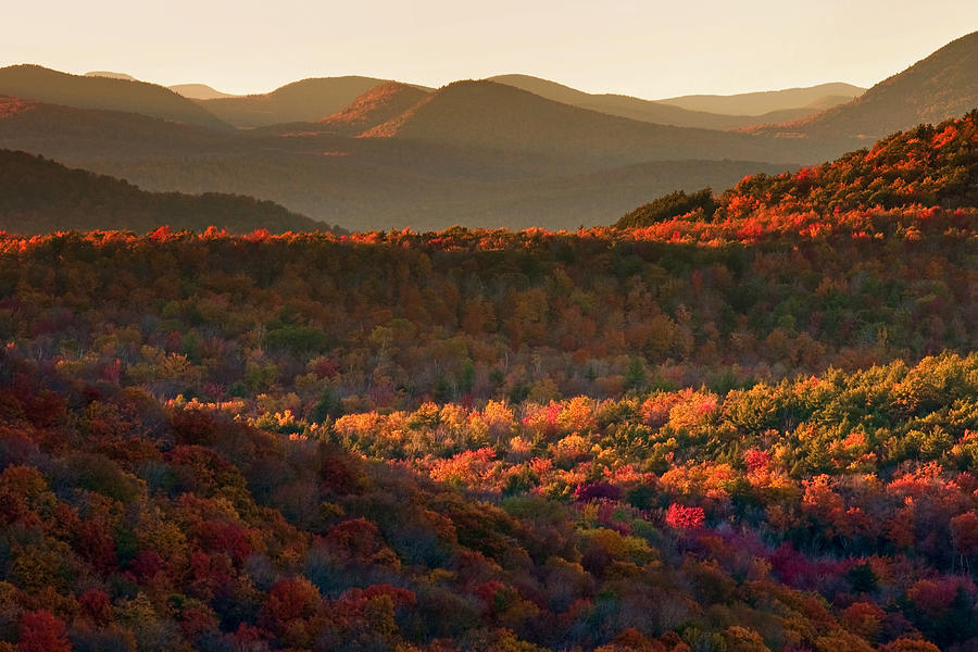 Autumn Tapestry Photograph by Neil Shapiro