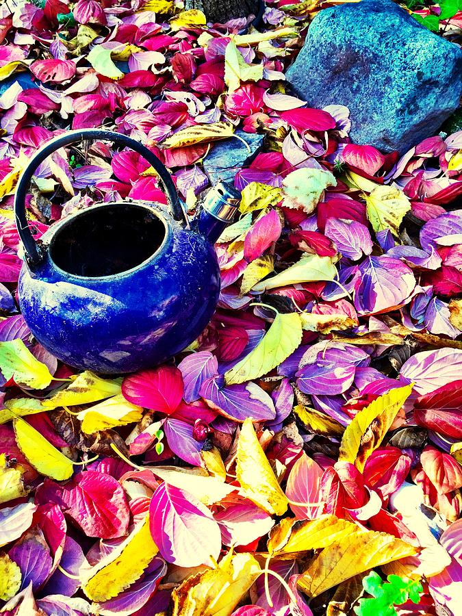 Autumn Tea Photograph by Brad Hodges