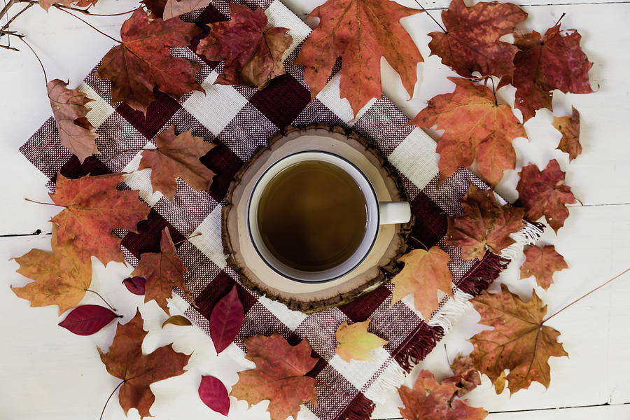 Autumn Tea Time Photograph by Kim Hojnacki