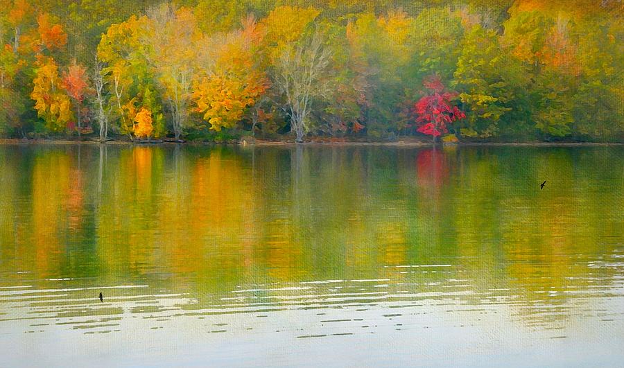 Autumn Tender Photograph by Diana Angstadt