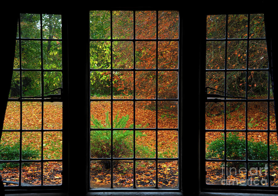 Autumn through the Window Photograph by Martyn Arnold