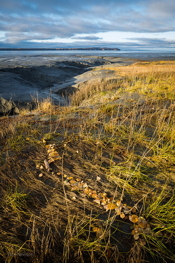 Autumn Tide Line Photograph by Tim Newton