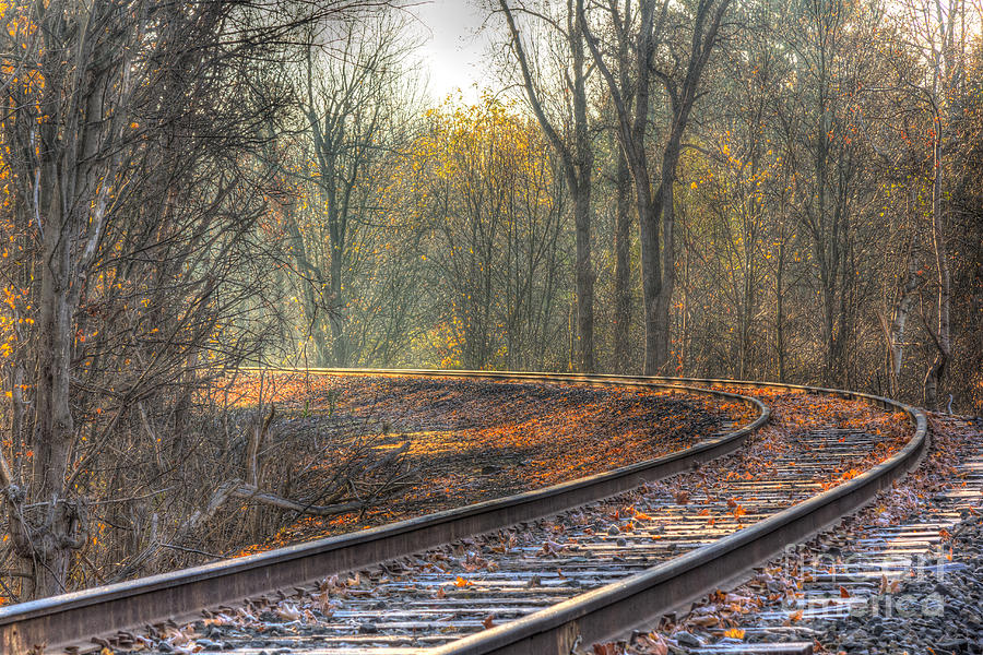 Autumn Tracks Photograph by Rod Best