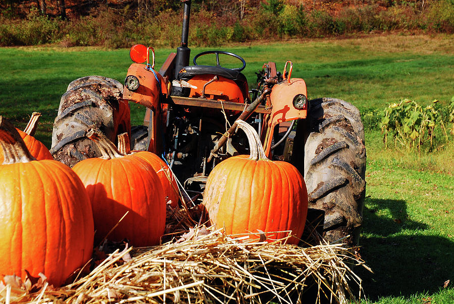 Autumn tractor ride Photograph by James Kirkikis