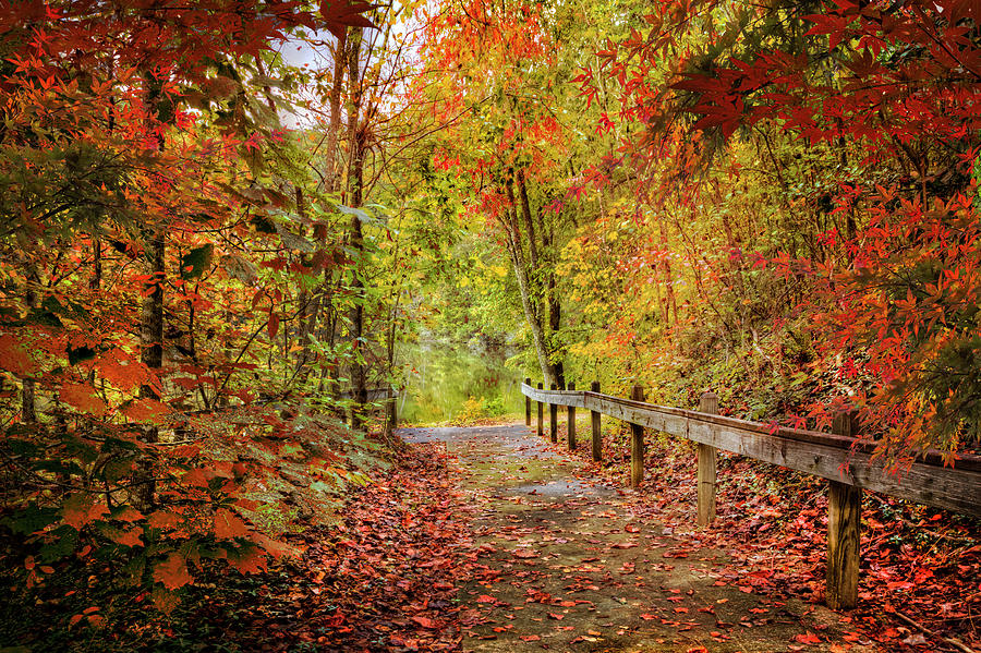Autumn Trail at Full Color Photograph by Debra and Dave Vanderlaan