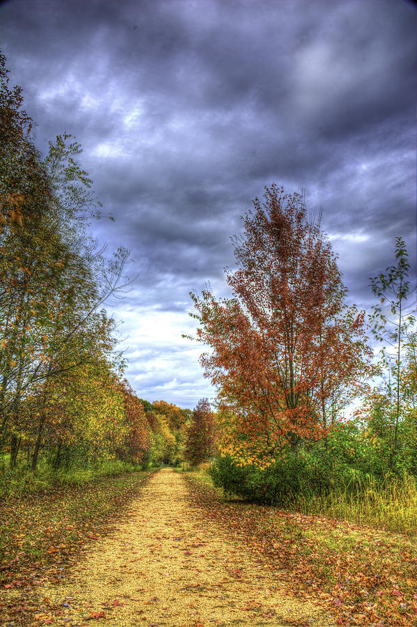Tree Photograph - Autumn Trail by Francisco Gomez
