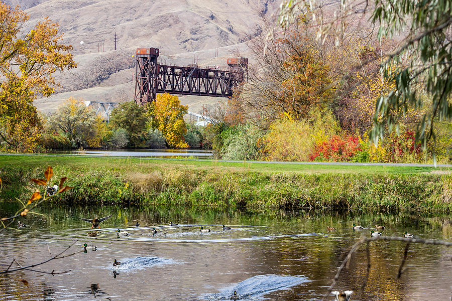 Autumn Train Bridge Photograph by Brad Stinson