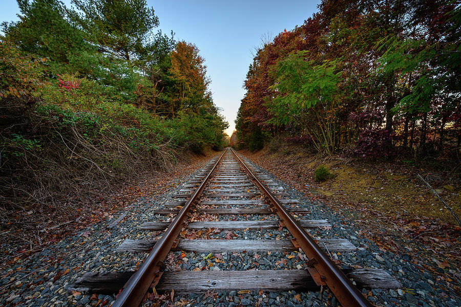 Autumn Train Photograph by Michael Scott