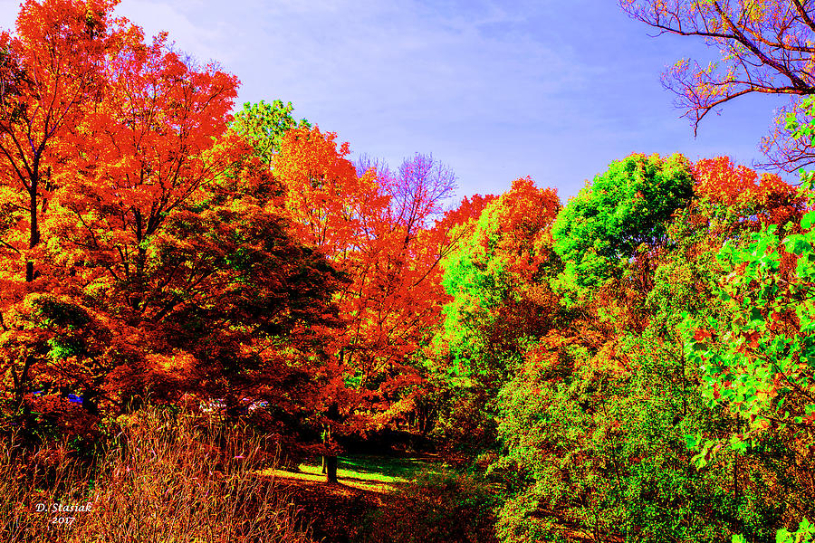 Autumn Tree Abstract Digital Art by David Stasiak