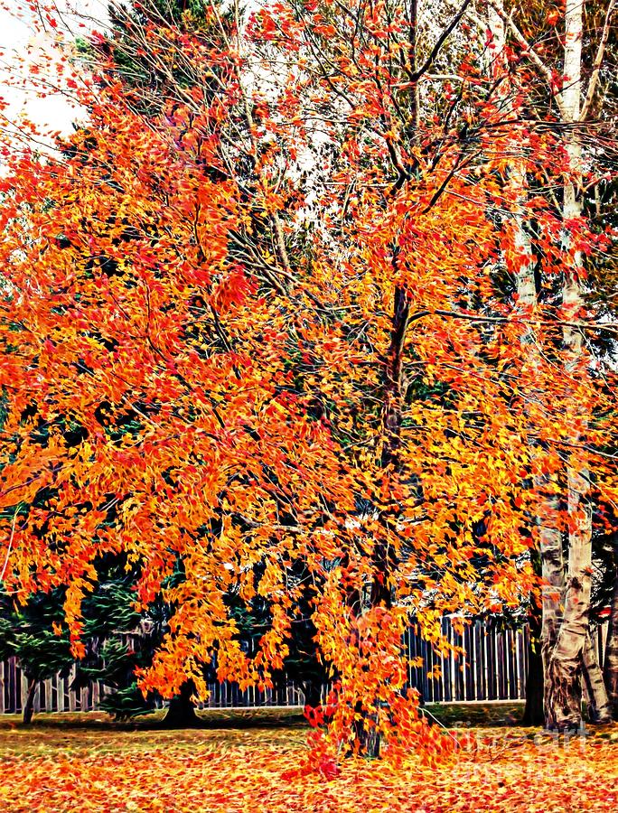 Autumn Tree Digital Art by Becky Kurth