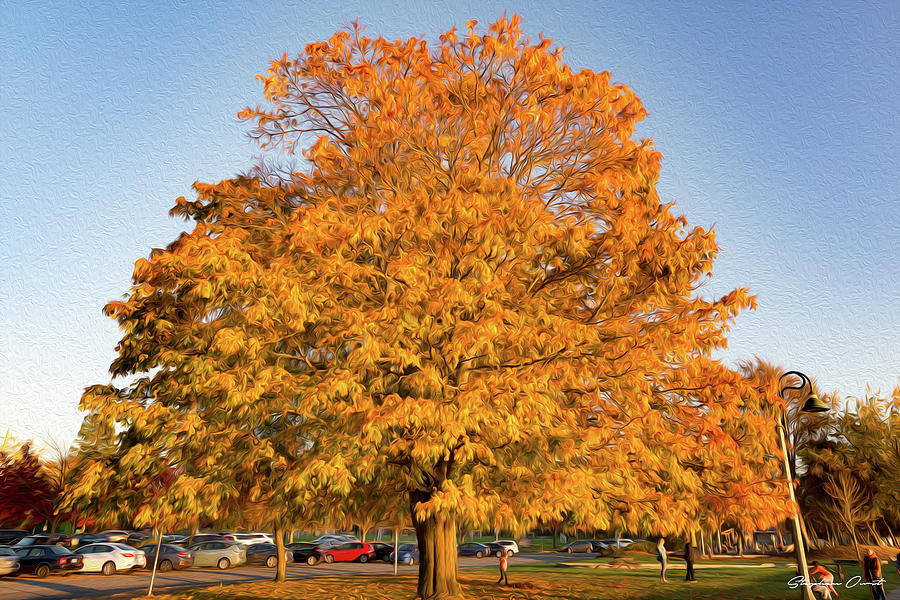 Autumn Tree - Digital Oil Digital Art by Birdly Canada