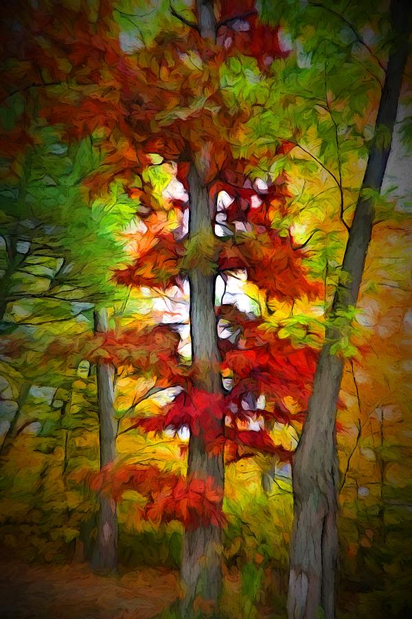 Autumn Tree Painting by Lilia S
