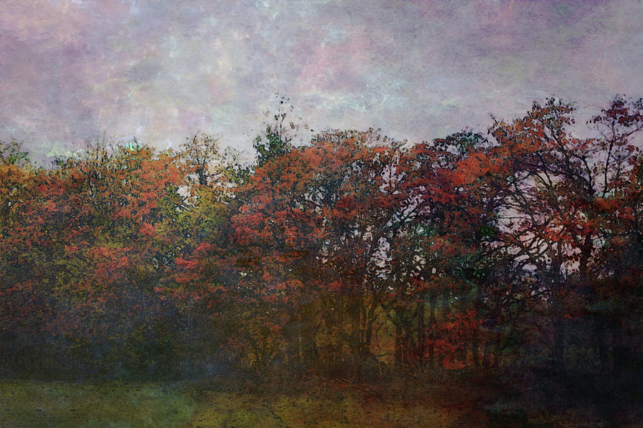 Autumn Tree Line 6532 DP_2 Photograph by Steven Ward