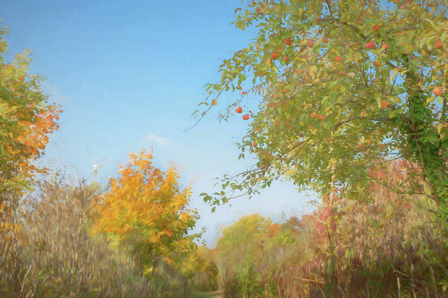 Autumn Trees 2 Digital Art by Roy Pedersen