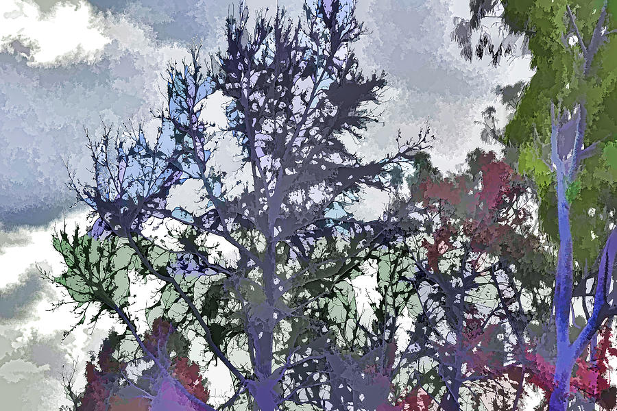 Autumn Trees Abstract 1 Digital Art by Linda Brody