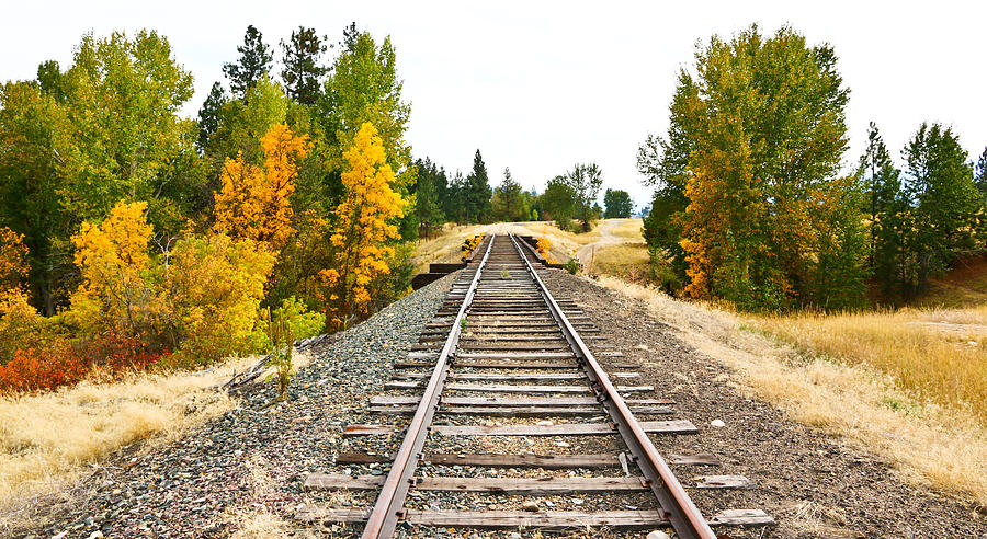 Autumn Trees And Railroad Tracks Photograph by Athena Mckinzie
