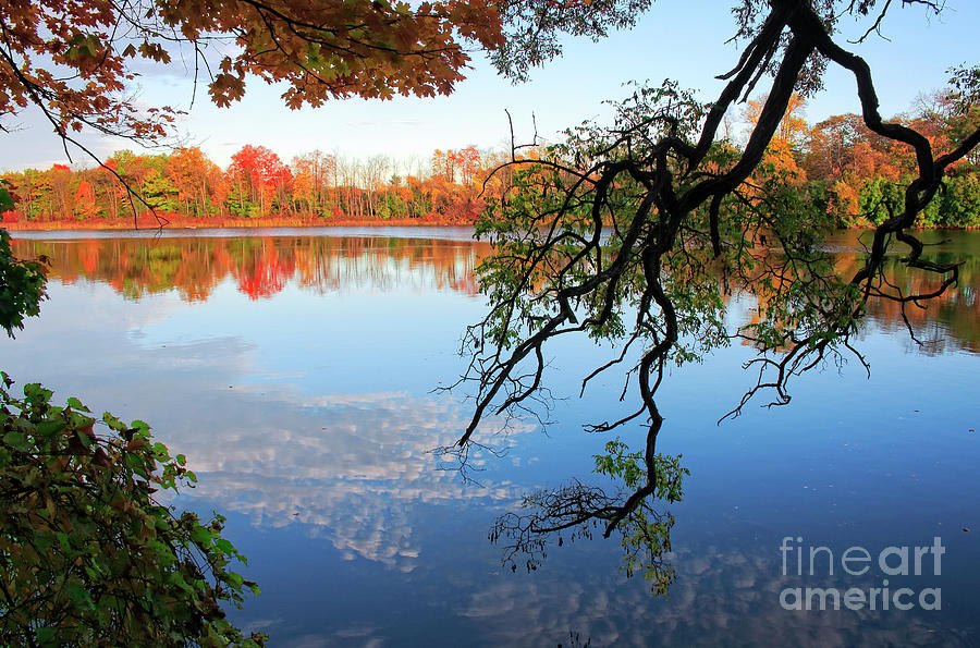 Autumn Trees and Reflections Photograph by Charline Xia