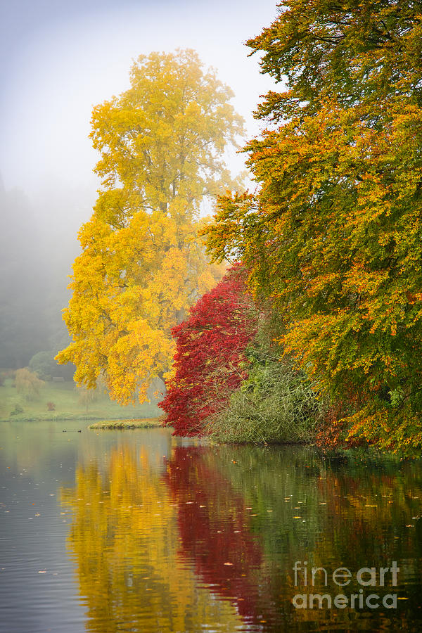 Autumn trees by the lake Photograph by Colin Rayner