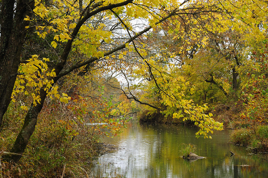 Autumn Trees in the Blue River Photograph by Iris Greenwell