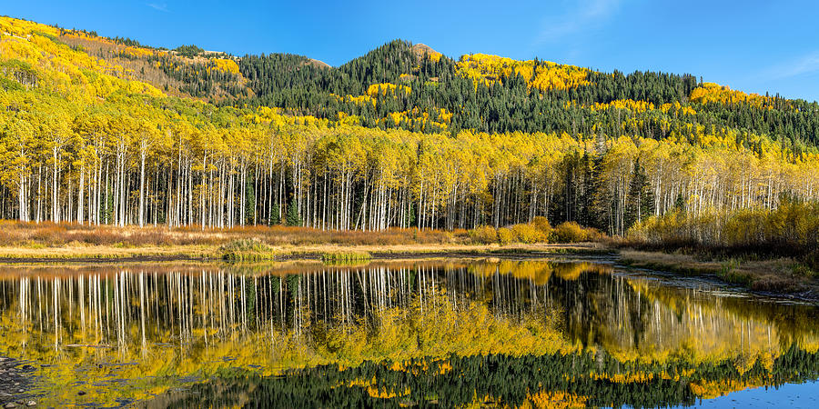 Autumn Trees Reflecting on Willow Lake in Utah Photograph by James Udall