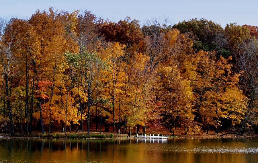 Tree Photograph - Autumn Trees by Sandy Keeton