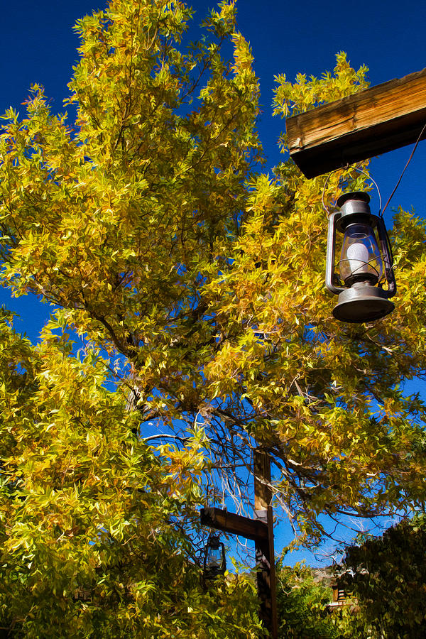 Autumn Trees with Lantern 2 Photograph by Bonnie Follett