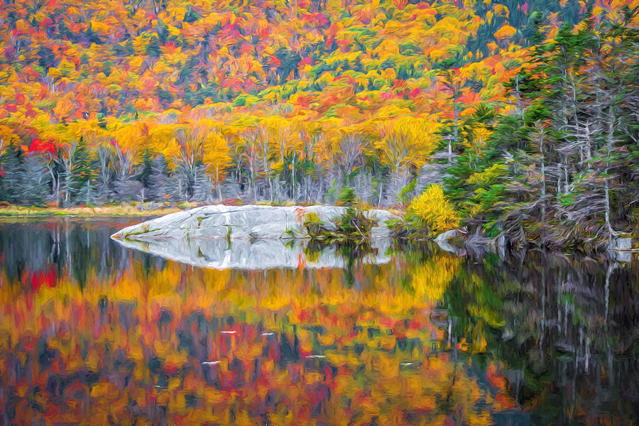 Fall Photograph - Autumn Vibrance by Black Brook Photography