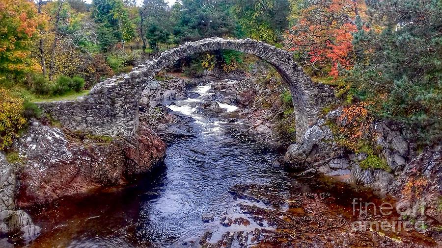 Autumn View at Carrbridge Photograph by Joan-Violet Stretch
