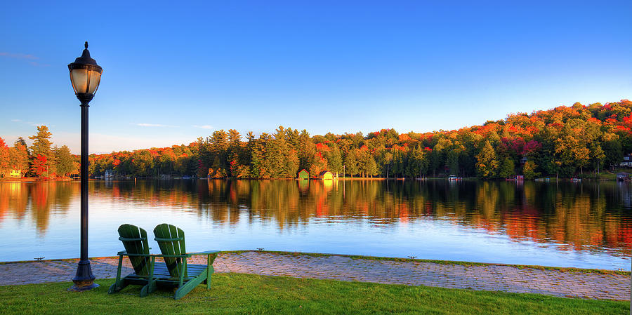 Fall Photograph - Autumn View for Two by David Patterson