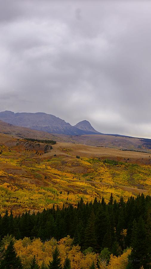 Autumn View of Divide Mountain, Vertical Photograph by Tracey Vivar