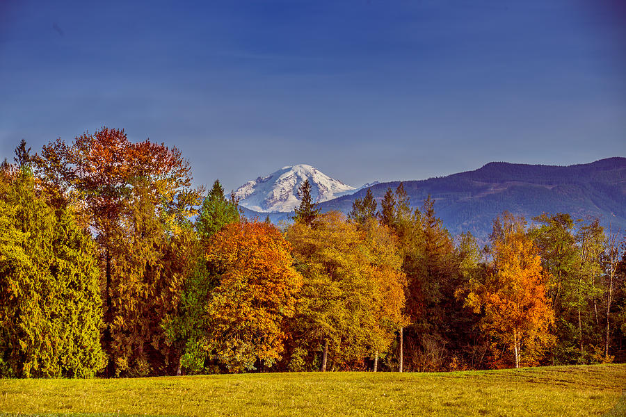 Autumn View of Mt. Baker Photograph by Judy Wright Lott