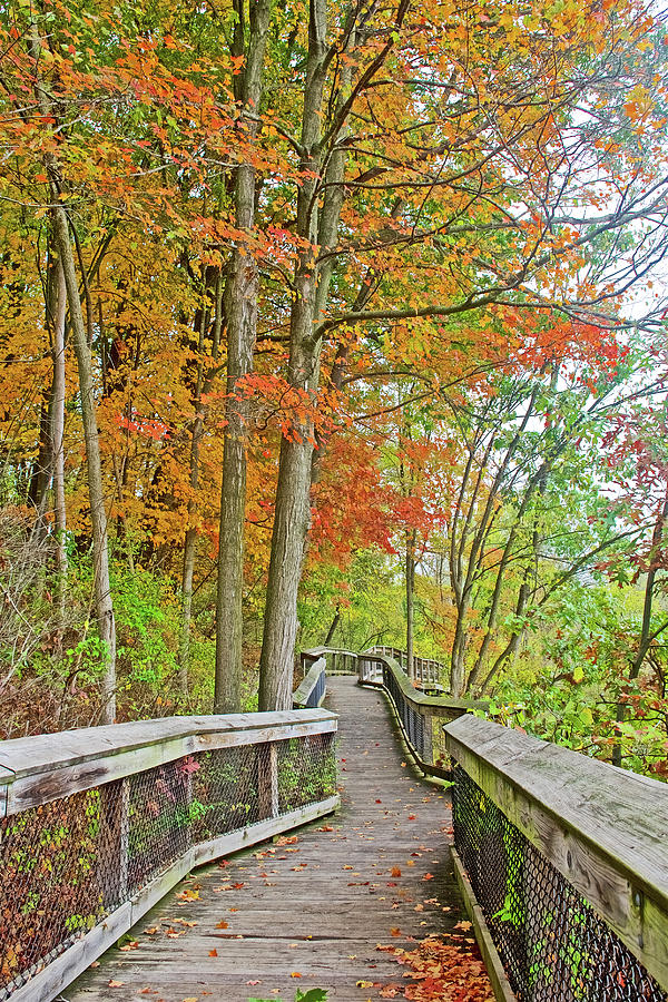 Autumn View of Rogue River Boardwalk in Rockford, Michigan Photograph by Ruth Hager