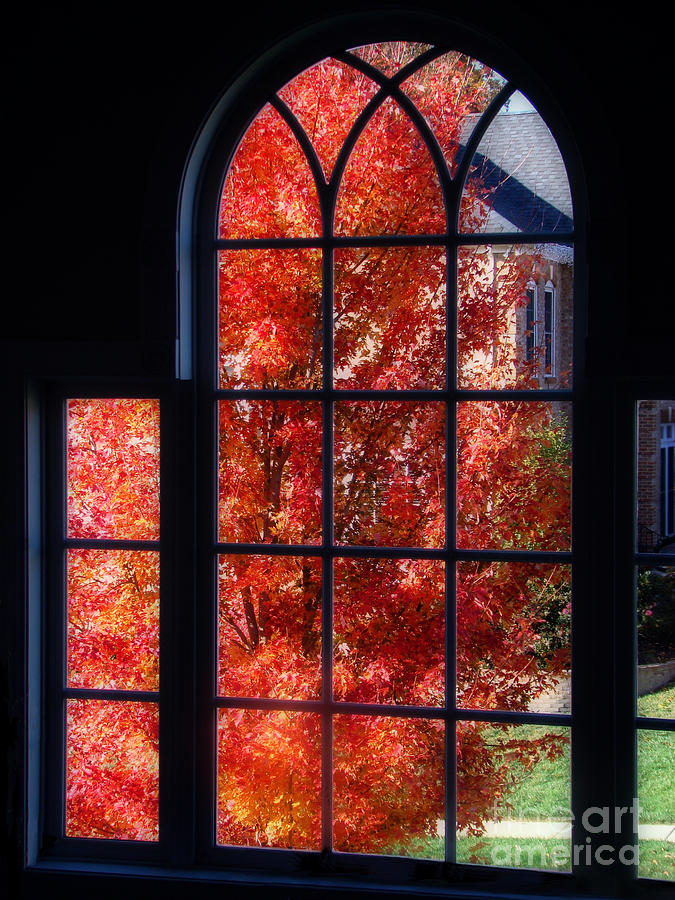 Autumn View thru a Picture Window Photograph by Sue Melvin