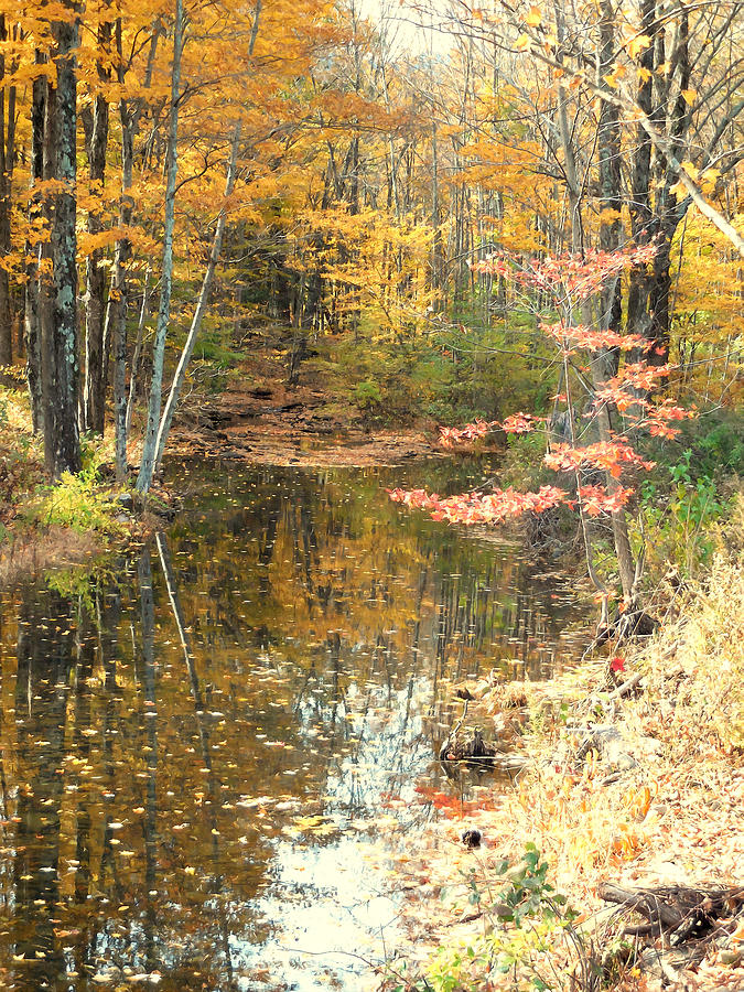 Autumn vintage landscape 1 Painting by Jeelan Clark - Fine Art America