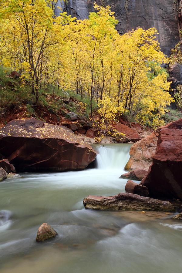 Autumn virgin river in Zion Photograph by Pierre Leclerc Photography