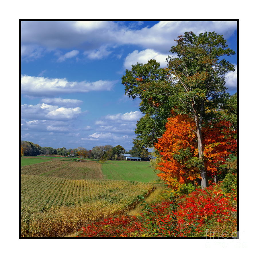 Fall Photograph - Autumn Vision by Marcel  J Goetz  Sr