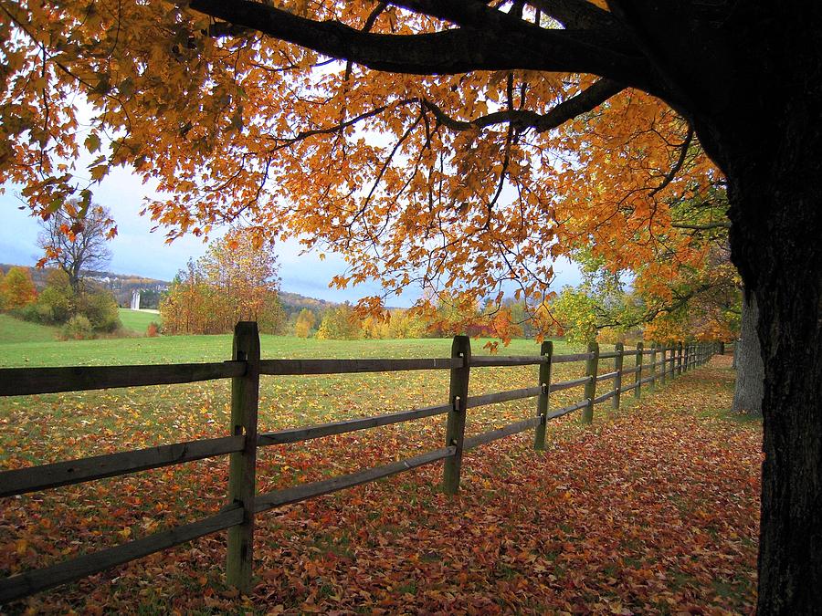 Autumn Vista Photograph by Don Struke