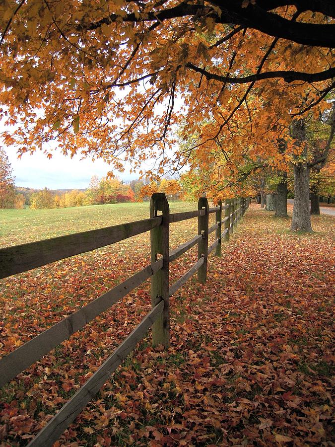 Autumn Vista in Virginia Photograph by Don Struke